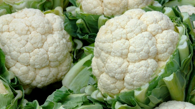Bea coliflor dicloro ppal.png